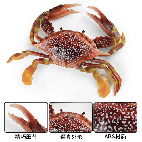 Simulation large crab model swimming crab toy hermit crab king crab Chinese horseshoe crab marine life crab toy