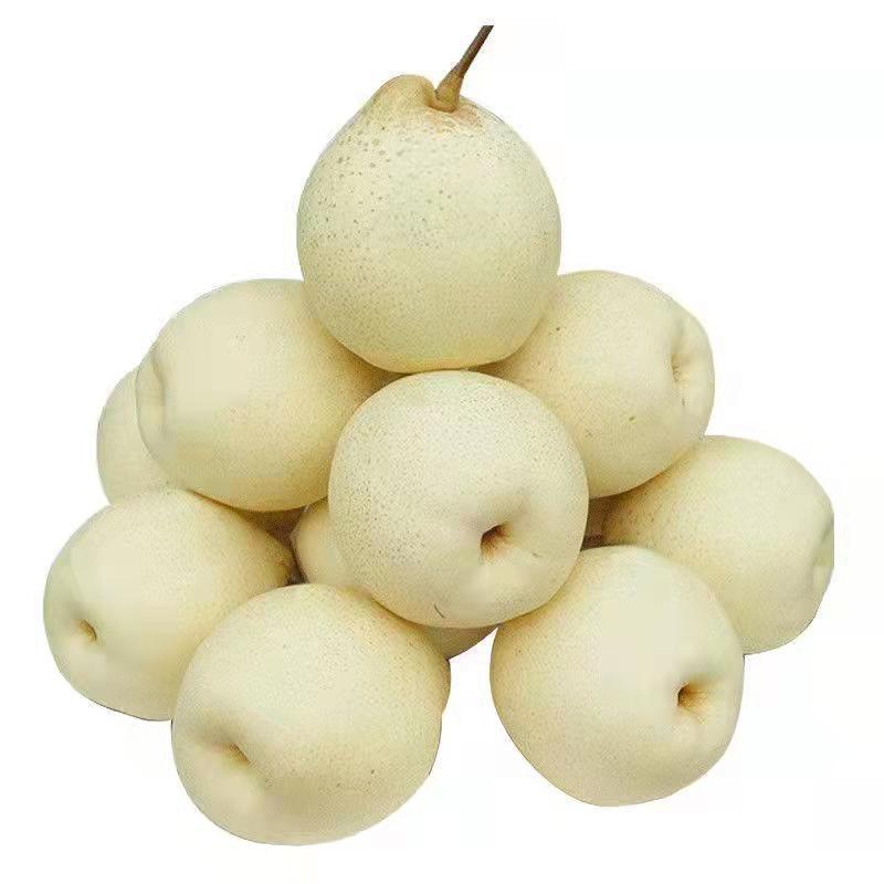 【박스 포함 4.8-5kg 】고대 나무에서 큰 과일을 선택하세요 - 핫 세일