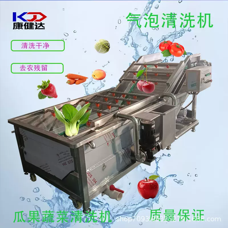 直销全自动果蔬气泡清洗机 果蔬臭氧洗菜机 大型香菇清洗设备