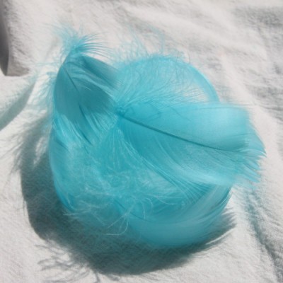 홀 블루 (100 루트 배치)