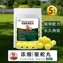 ��������蹤�S����������w����߷�����ș�蹤�S��������l