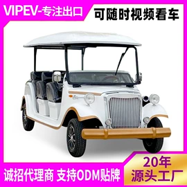电动观光车;高尔夫球车;其他电动车
