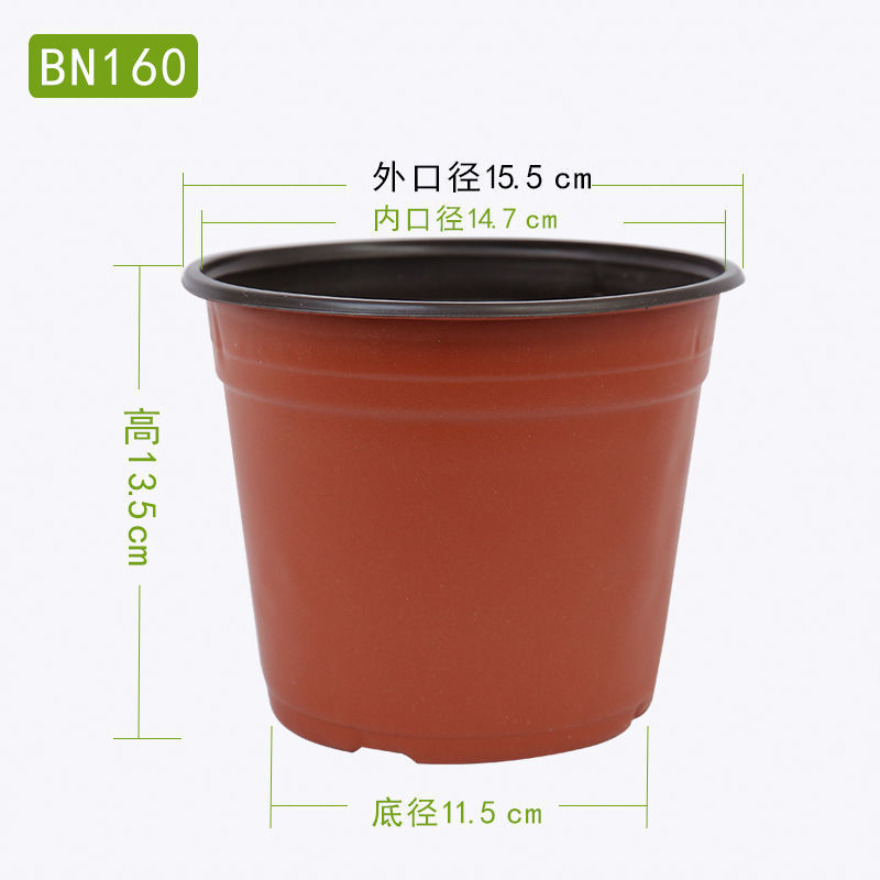 35938770-3089-4e8f-aa86-e450bbc0defd.jpe