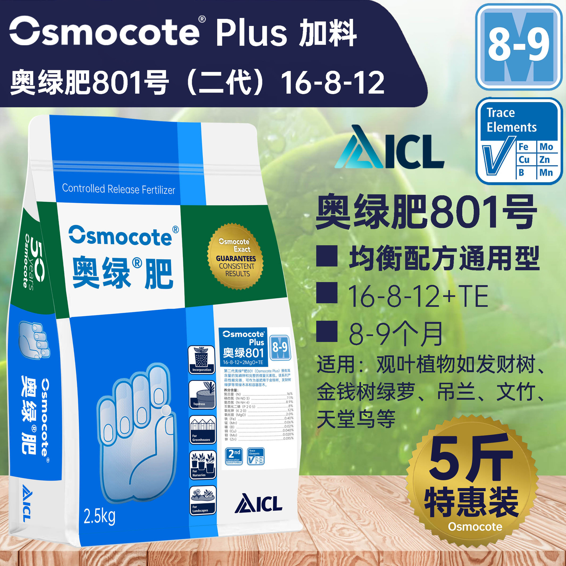 Aolu 801(5kg 스페셜)