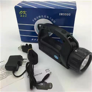 IW5121��������IW5500/BH����ʽ����̽�՟����F���Ͳ������