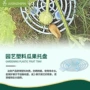 植物防腐塑料南瓜托盘