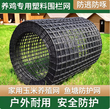 塑料网格防护养殖菜园栅栏户外拦鸡网子圈玉米漏粪脚垫养鸡围栏网