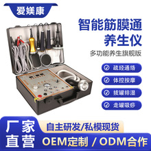 智能筋膜通仪多功能生物电dds电疗仪理疗仪酸碱平按摩美容器