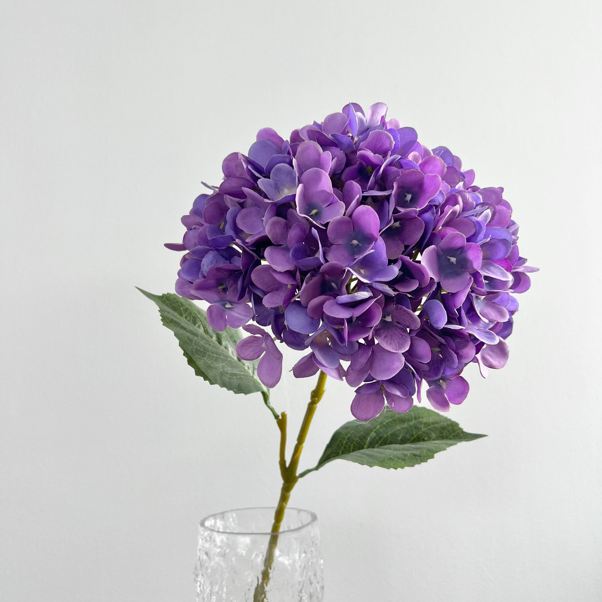 Hortensia grande de color morado oscuro