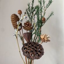 �S�����l ��Ȼ�ɹ��ɻ��ɹ� ���ɏ��Ǭ�ﻨ���W�Ӽ��b[��