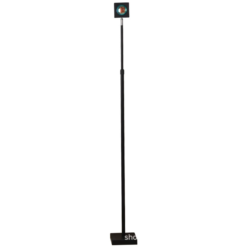 П Floor lamp, lights with projector for living room, internet celebrity