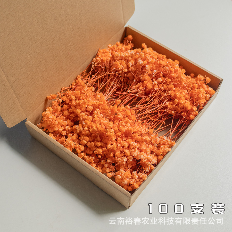 오렌지 안개꽃 100개들이 상자