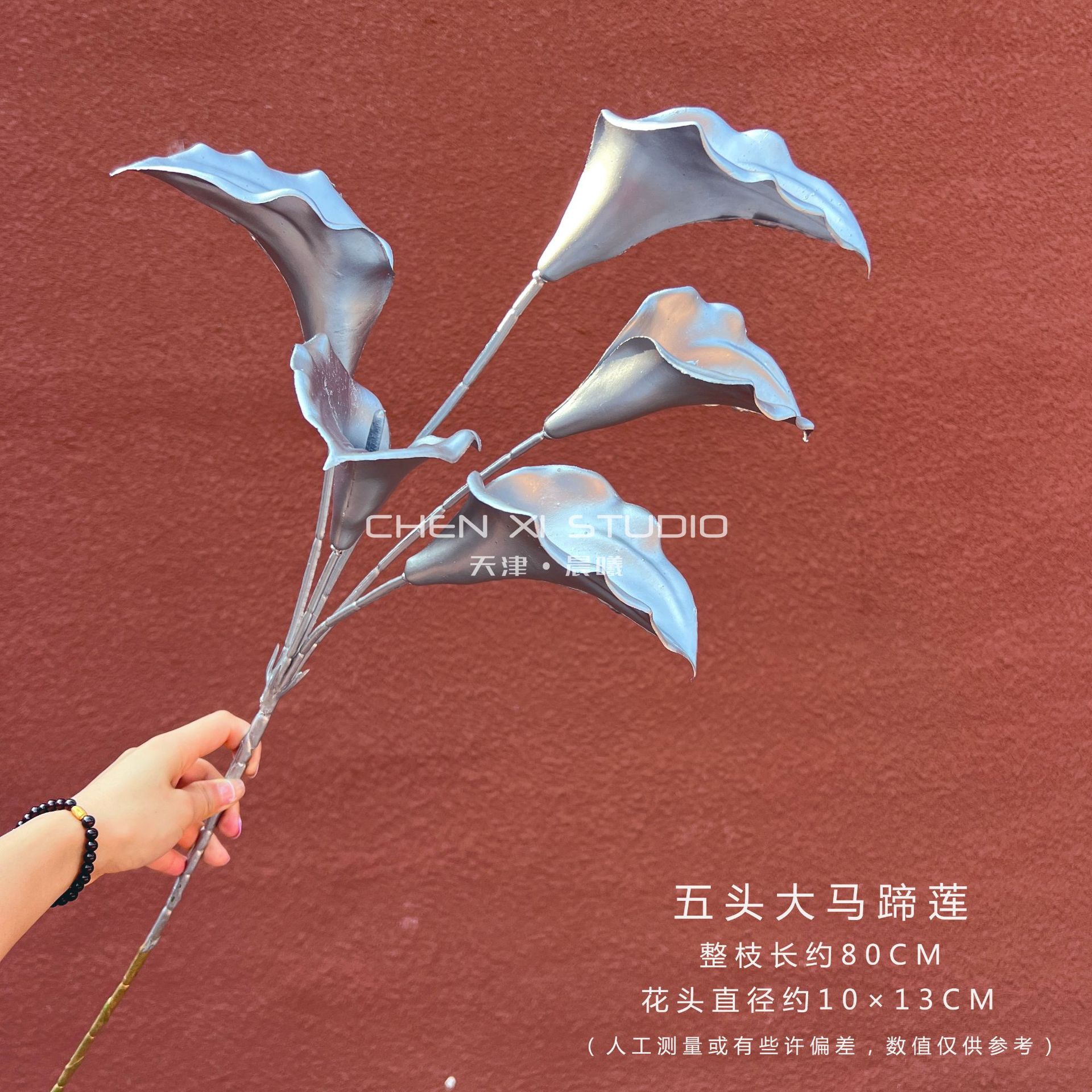 다섯 개의 큰 칼라 백합