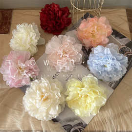 法国牡丹花头仿真花婚庆汉服装饰花头饰制作花墙插花道具花大丽花