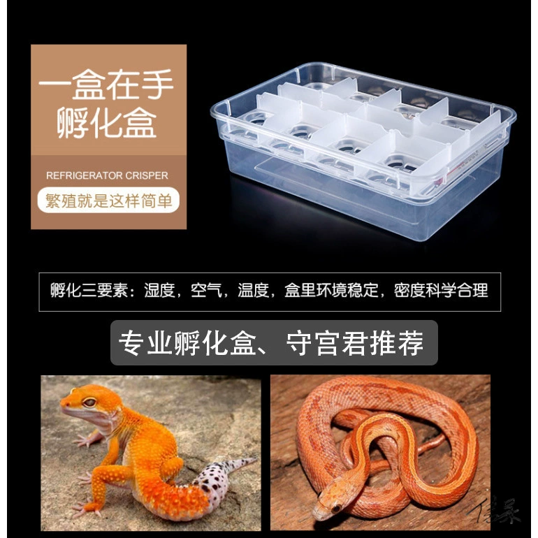 Коробка для инкубации черепахи, коробка для инкубации рептилий, искусственный лев, кукуруза, домашнее животное, рептилия, инкубация для домашних животных, лабораторная бытовая сломанная оболочка
