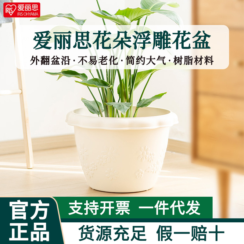 爱丽丝花盆FLOW中钵植物控根创意绿萝多肉兰花塑料树脂爱丽思盆