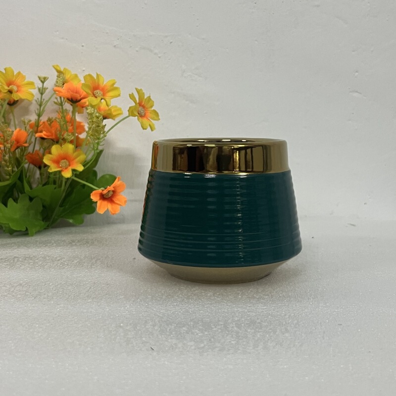 軽くて豪華な風の植木鉢の陶磁器の鉢のねじは金をメッキします。|undefined