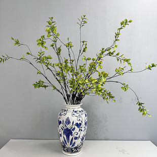 ����С���~ ����ʽ��֦�����~�L֦��֦�ٸ�֦�Ҿ����P�b[��Ʒ