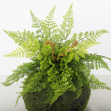 定制北欧仿真蕨类把束绿植蕨叶室内装饰富贵叶植物仿真波斯草批发