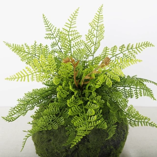 定制北欧仿真蕨类把束绿植蕨叶室内装饰富贵叶植物仿真波斯草批发