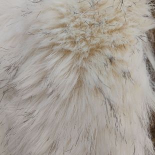 ����ëȾ��ë�q���ϴ���ë�I���b��߱���ɳ�lЬñ�������