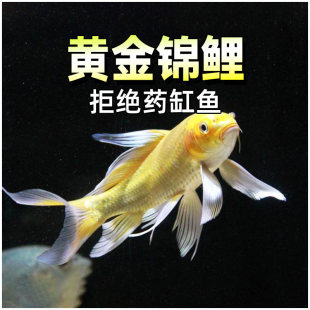 �S���\�����~��ؔ�Lˮ�~С���S�����P�Lβ�\�����B�ͻ���ˮ��ˮ�~