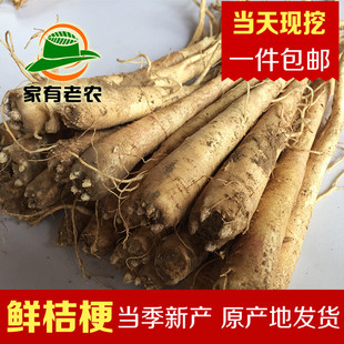 Newly Produced Fresh Platycodon 500G/Two-Year Fresh Platycodon/Goubao Pickles/Chifeng New Production/Free Shipping