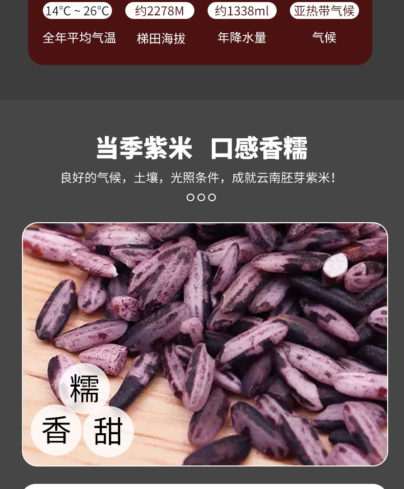 Yunnan Terrace Purple Rice Old Variety Fresh Crop Glutinous Purple Rice Whole Grain 500g Bag key features