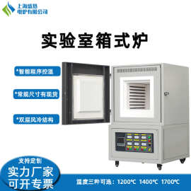 定制实验室电炉马弗炉工业炉程序控温电阻炉上海盛热电炉厂家优惠