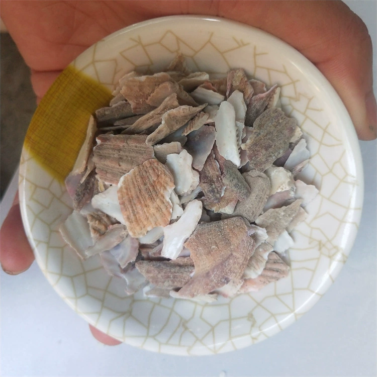 Оптовая продажа кормовой скорлупы различных видов, порошок кальция для скота и птицы, гранулы скорлупы с высоким содержанием кальция