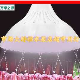 绿鸟照ed新国标生鲜灯猪肉灯菜市场海鲜熟肉蔬菜水果灯白光吊灯