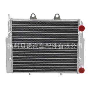 ���S���l�Xɢ����ˮ���m��춱��O���\�ӆTACE 325 570 EFI RZR800