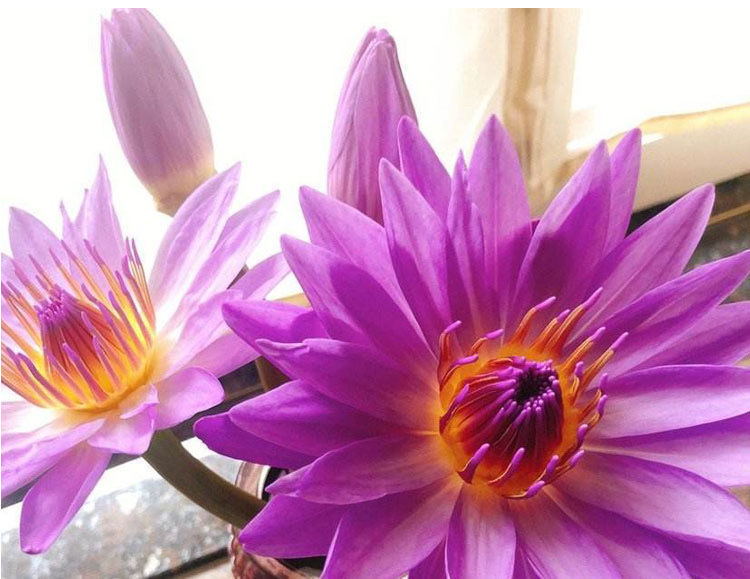 c172b982-c278-430e-abaa-1f333a48bde4.jpe