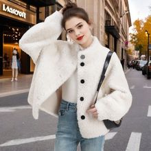 2025秋冬新款羊羔毛外套女短款宽松立领毛毛外套