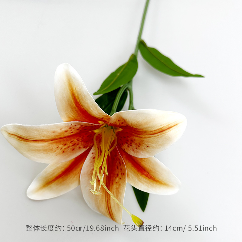 주황색