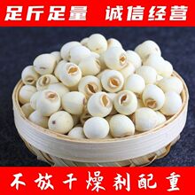 2025���ذ�ɏ��ȥо��о�o�����؛�����ɟo��ѬҰ�����rĥƤ