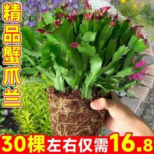 �Ӽґ��˻����ͺ��׻�зצ�m�ذ���Ʒ�҃��̨���� �������l؛