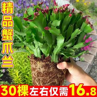 �Ӽґ��˻����ͺ��׻�зצ�m�ذ���Ʒ�҃��̨���� �������l؛