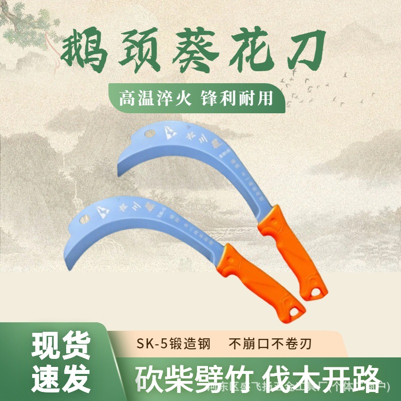 微信图片_202505211520342_副本.jpg