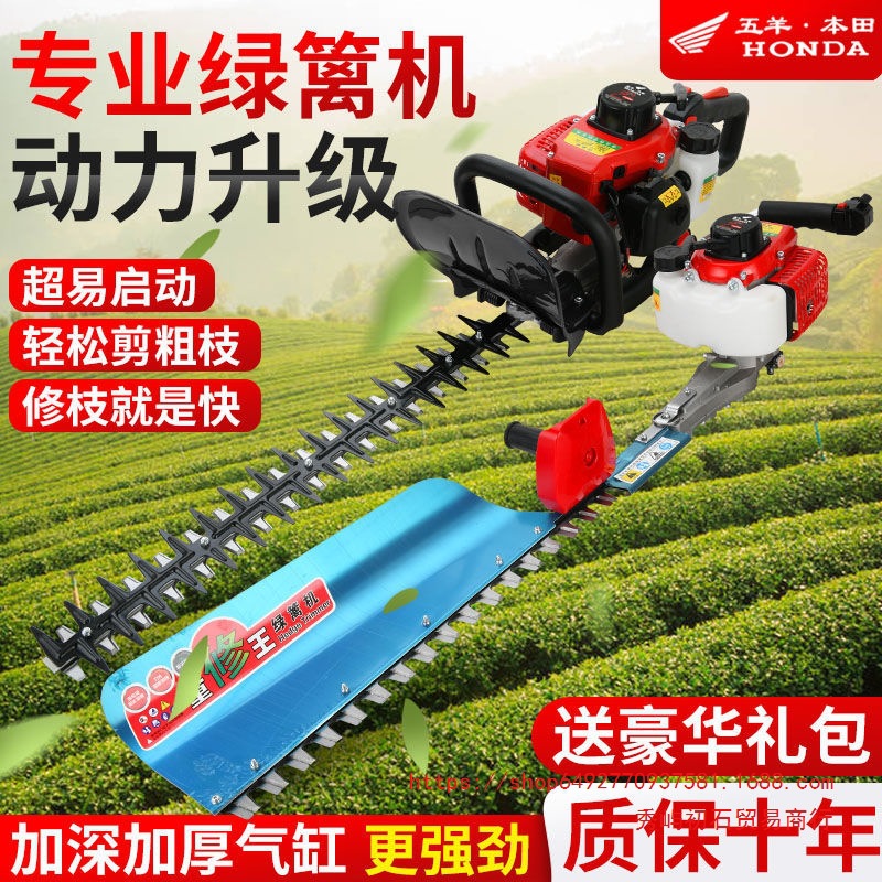 进口五羊本田绿篱机大功率汽油修剪机进口茶叶茶树修枝剪园林绿化
