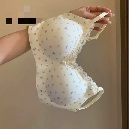 Prendas íntimas originales de estilo francés para mujeres que se reúnen pecho pequeño sin marcas sin anillo de acero sujetador de encaje fijo taza integral de espalda hermosa sujetador image 4