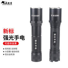 ��l�˻��A���Ͳ �����z�鰲��Ѳ߉ �ڄՑ��g��������h����