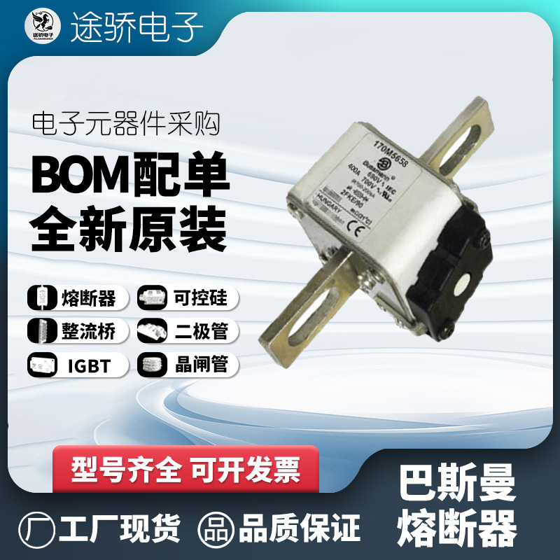 170M5662 170M5663 170M5664 170M5665 bussmann伊顿巴斯曼熔断器