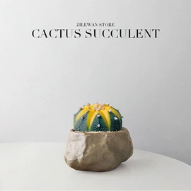 墙贴;仿真花;花盆容器