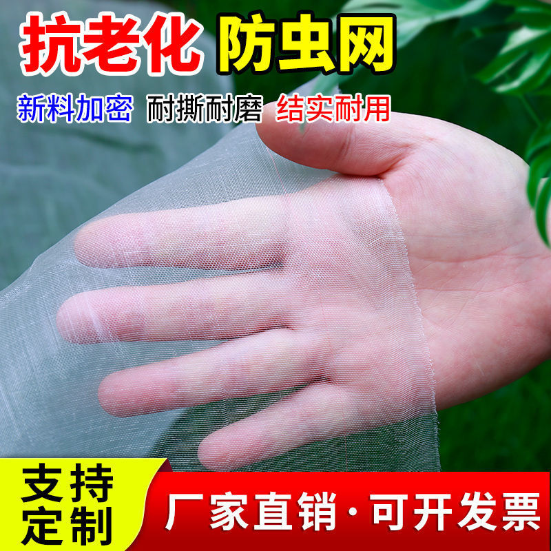 防虫网农用蔬菜大棚加厚防虫纱网养殖场专用防蝇网养猪场防蚊虫网