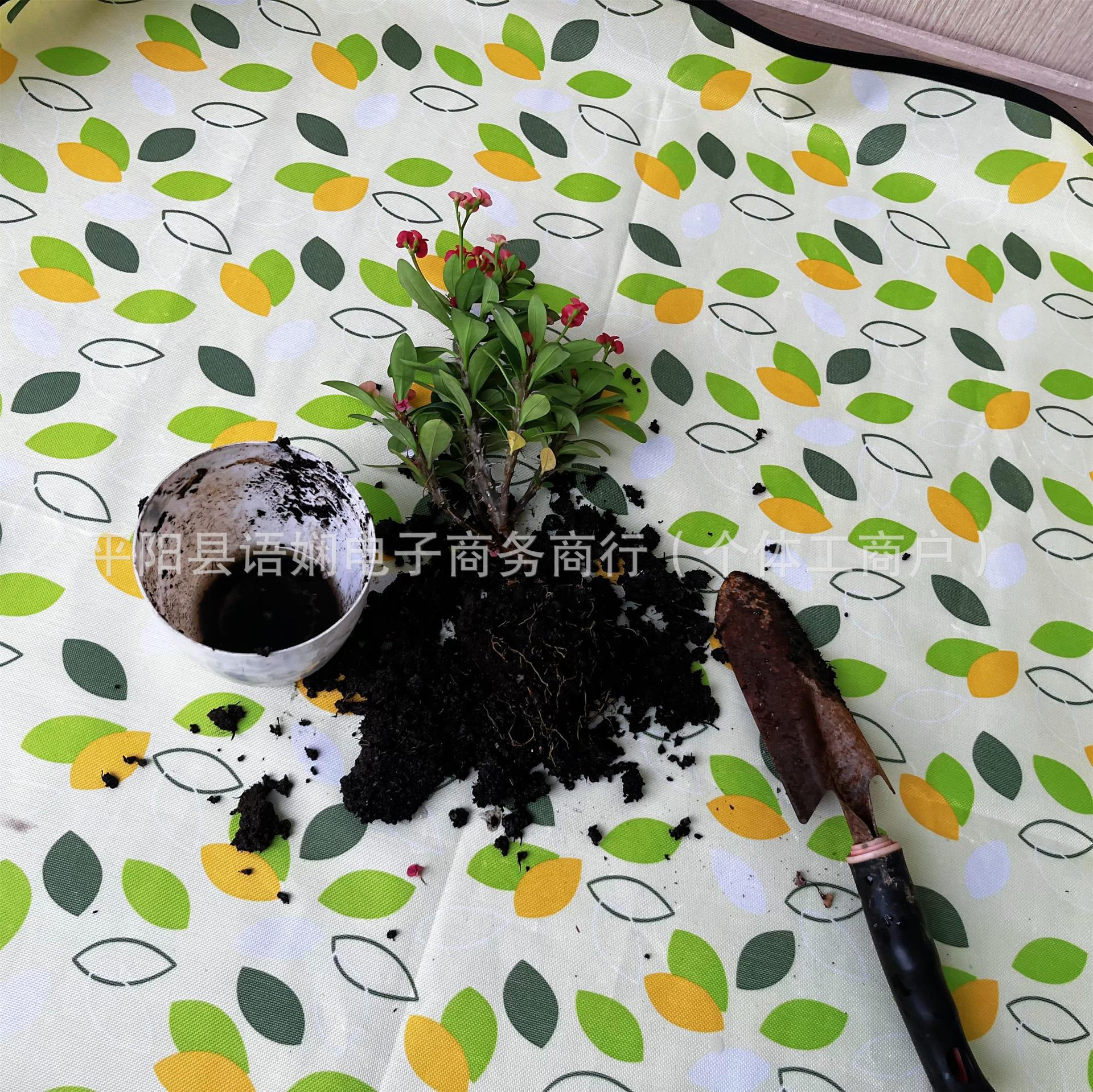 샤오페이예(스팟)