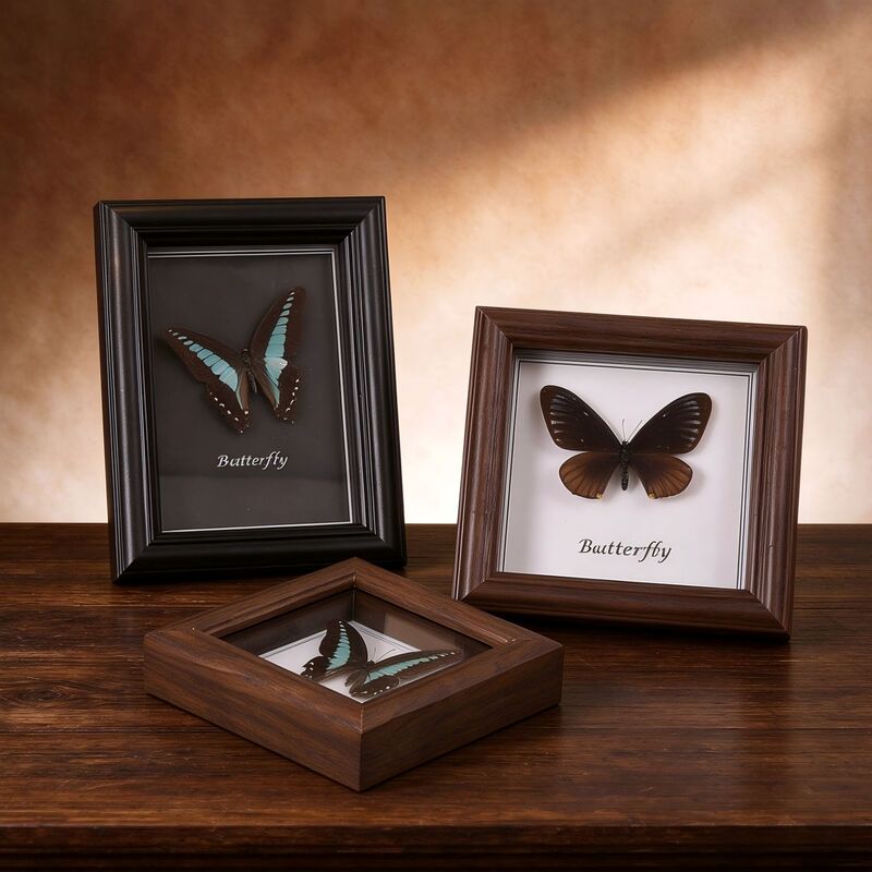 European-Style Retro Hollow Three-Dimensional Embossed Photo Frame Display Stand Butterfly Insect DIY Specimen Frame Wooden Picture Frame