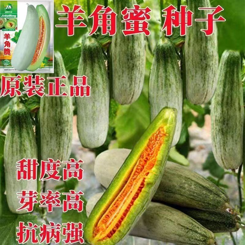 羊角蜜种子甜瓜种籽羊角酥西瓜香瓜种孑早熟品种四季瓜果蔬菜种子