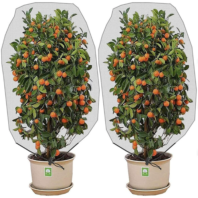 Популярная трансграничная сетка для защиты растений от насекомых для зеленых растений, цветов, защищенных от пчел, фруктовых деревьев, сетка для защиты от птиц для дынь, фруктов и овощей.