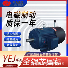 山东华力一级能效电机YEJ系列电磁制动三相异步电动机110/132kw